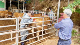 영덕울진축협, 주말 가축진료·예찰 공백 해소