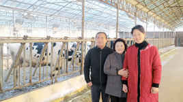 <선도농가 탐방>충남 당진 ‘성효목장’