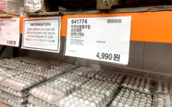 설 명절 겨냥 수입 계란 2천만개 유통