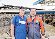 <‘서울우유 나100%’ 전용목장 탐방> 경기 화성 ‘장안농산’