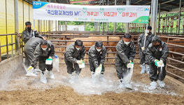 <나눔축산>축사주변 환경정화·냄새 개선 활동