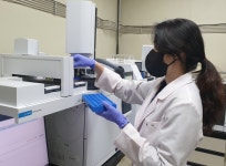 신선도 지표 HMF 기준치 초과 벌꿀 폐기처분