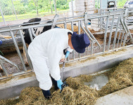 <창간 36주년 특집-건강한 K축산 / 일선축협 특색사업 현장>충남 홍성낙협 / ICT스마트팜 구축사업