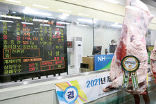 합천축협 출품우 ‘한능평’서 한우협회장상