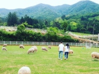 경남 축산업 인식 바꾼다...산지생태축산농장 3개소 추가