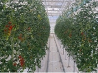 6차 산업의 꽃 스마트팜에 주목하는 이유…노동력↓ 생산성↑