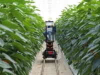 농업대국 브라질과 스마트팜 협력···코트라, 웨비나 개최