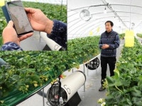 전남도, 농업 신기술 현장 보급 확대..555억원 투입