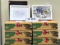 호남권·제주권 조합장 선거 부정행위 고발 이어져