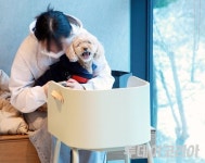 [발자국] 반려동물과 함께하는 커피 한 잔의 여유 스타벅스 구리갈매DT점은 이미 핫플