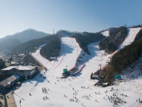 엘리시안강촌 스키장, 스프링 시즌권 출시