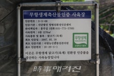 인터뷰) 무항생제 닭 인증 세계치킨 홍현래 대표 국민들께 건강 보증할 것