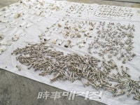 금천예술공장, 6인의 작가들이 펼치는 죽음에 관한 담론!