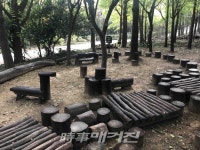 관악구, 자연 배움 공간 마련... 선우공원 유아숲체험원 조성