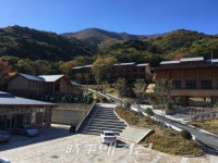 경북도, 산림교육과 산림복지의 메카... 국립청도숲체원 개원