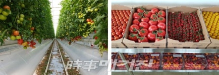 이철우 도지사, 첨단농업 현장인 스마트팜 농장 찾아 소통행보