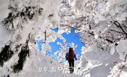 큰 눈 내리도 국립공원 부분 개방, 숲속 설경 만끽