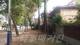 창원시 원이, 창이대로 완충녹지 정비