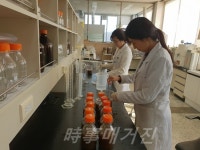 3개 정수장(칠서,대산,석동) 급속여과지 여재오염도 연구 조사