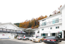 대명비발디파크 근처 신영펜션, 스키&보드 무료렌탈 및 리프트권 40~60% 할인
