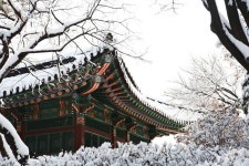메이필드에서 황금돼지꿈 꾸고  최고급 게이밍컴퓨터, 숙박권 등 푸짐한 설 선물 받아 가세요