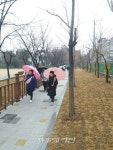 대구 서구, 사람중심 보행환경 조성 인지초등학교 부지로 학생 안전통학로 확보