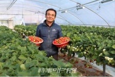 강진딸기, 일본ㆍ인도ㆍ말레이시아...수출 협의
