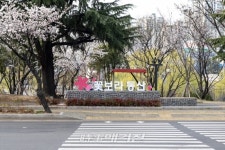 대구 북구, 벚꽃잎 흩날리는 꽃보라동산 봄꽃도 보고, 인생샷도 남기고