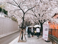 동작구, 봄맞이 동마을축제 개최