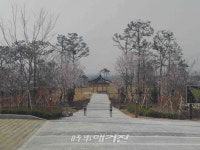 완주군, 삼례읍에 미세먼지 잡는 도시숲 조성