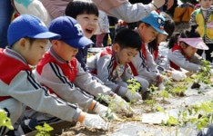 흙이랑 놀면서 새싹도 심고, 밥상도 바꿔요!
