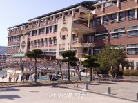 화순초등 3학년 담임의 학생 상습폭행의 진실은?