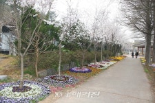 전평제 전평원, 봄날엔 꽃길만 걸으세요