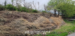 화순 동면, 하천과 소공원에서 풀베기․잡목제거