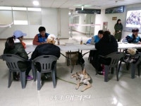 관악구, 직접 찾아가 반려동물 행동교정 해드려요