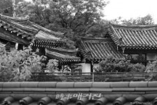 400년 전통 칠곡 매원의 한옥 고택 풍경