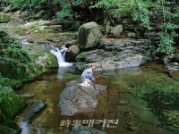 곡성군. 도림사 계곡이 토닥토닥 전하는 여유와 위로