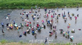 청정임실의 특별함…섬진강 다슬기축제