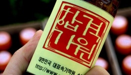 속기21 속기학원, 국가시험대비반으로 한글속기사자격증 완벽대비