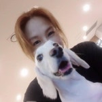 채연, 두리~~~~ 근황공개 눈길