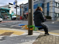 전주시, 주요 횡단보도에 신호대기 의자 설치