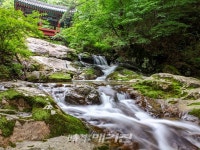 바다냐 계곡이냐 고민할 시간에 곡성군 찾아가서 돗자리부터!!