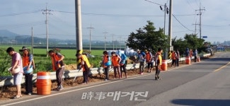 나주시 반남면 의용소방대, 올 가을, 코스모스 만개한 반남에서 꽃 구경