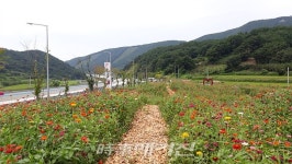 도로공사 광주전남본부, 졸음쉼터 이용고객을 위한 공원산책로 조성으로 큰 호응