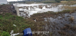 서귀포시 성산읍 오조리 상수 침수지역 성토작업 허용안돼