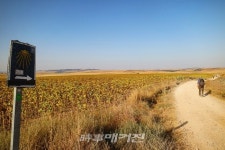 스페인 산티아고 순례길에서 찾은 인생의 쉼표