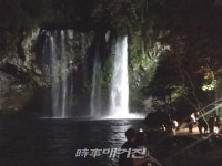 [관광 story]가을밤의 향연...자연의 美 천지연폭포