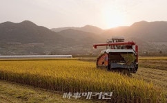 도시와 농촌 하나되기 체험활동 4회째 - 정읍시 동곡마을