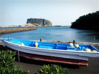 [포토] 오조리(공항가는 길)