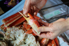 강릉 주문진·경포대 맛집 대영유통 싱싱한 대게찜을 저렴하게 제공